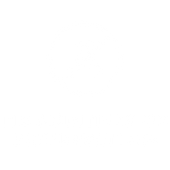 No Preservatives Spice Badge